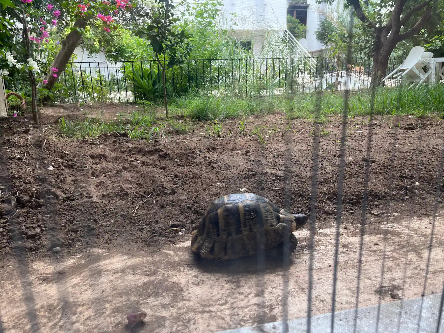 45fe9a8b-8b40-4756-87c9-661ae1aa310f