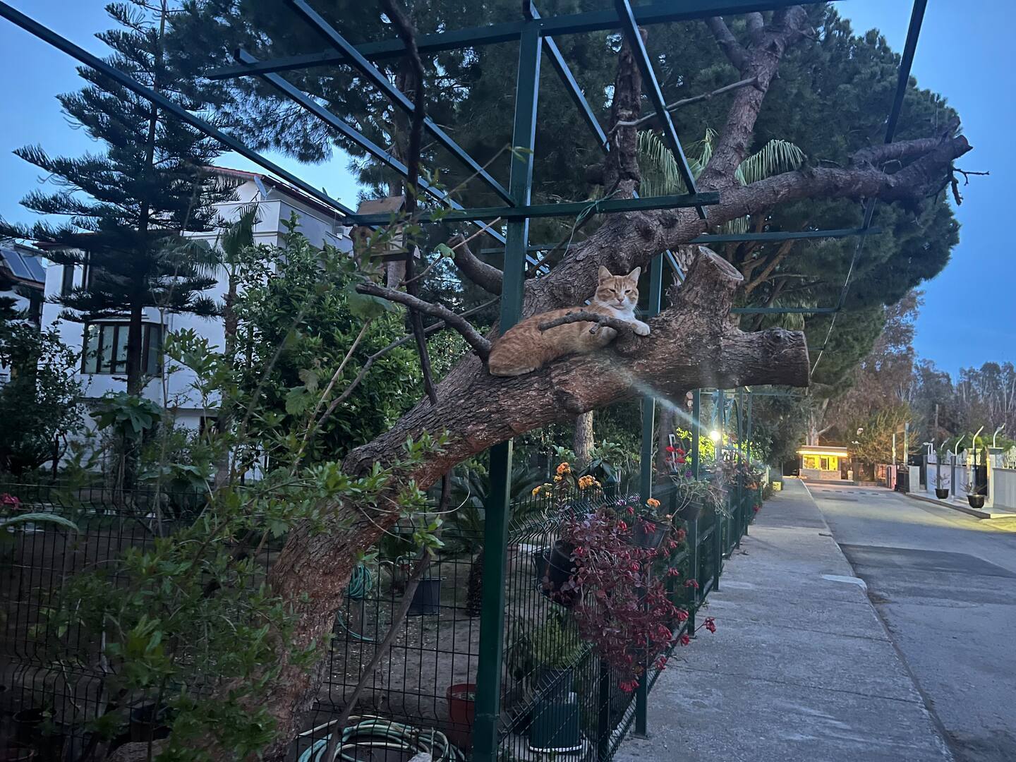 a2ecdb4f-fde1-4b81-ba77-4250ffa08ac8